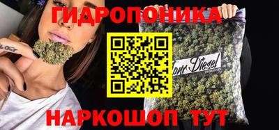 шишки Краснокаменск