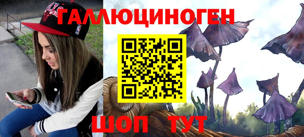 Псилоцибиновые грибы Psilocybe  наркота  Кимовск  Галлюциногенные грибы прущие грибы  Вход с VPN 