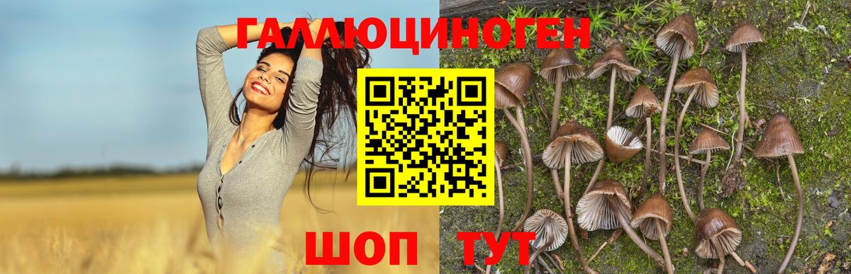 Галлюциногенные грибы Magic Shrooms Кимовск